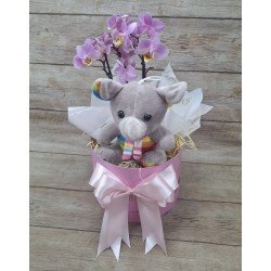 Kit Maternidade Menina com Mini Orquídea 2 Hastes Pote 9 - Cor Variada + Pelúcia Kit Maternidade Menina com Mini Orquídea 2 Hastes Pote 9 - Cor Variada + Pelúcia